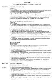 Provides advice and guidance to assigned business/group on implementation of solutions. Branch Manager Resume Samples Velvet Jobs