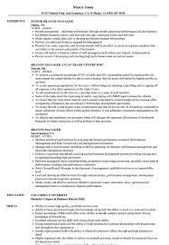 Develop forecasts, financial objectives and business plans. Branch Manager Resume Samples Velvet Jobs