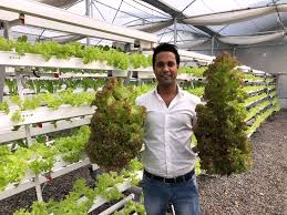 Barton Breeze S Hydroponics Strives To Bring Living Food To Homes And Grocers The Wimwian It consists of a covered germination chamber.