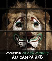 Circus Animal Cruelty Ads Statistics How You Can Help Save Animals Animals Circus Animals