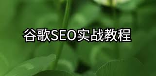 谷歌大叔《谷歌SEO实战教程》 - 笨小孩成才网