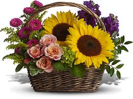 Maybe you would like to learn more about one of these? Send Flowers In Jacksonville Fl