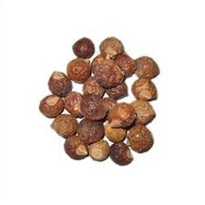 Sapindus Mukorossi – Gandhi