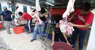 Korban dan akikah merupakan isu yang penting dalam masyarakat islam. Beza Akikah Dan Korban