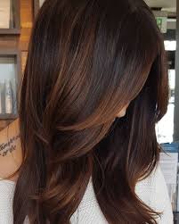 If you want the copper color to stand out. Copper Highlights For Dark Hair Dark Hair With Highlights Hair Highlights Hair Styles