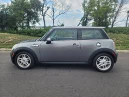 Image result for Pure Silver 2010 Mini