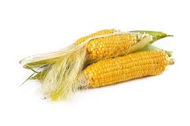 Lagu menanam jagung diciptakan oleh siapa. Isi Lagu Anak Menanam Jagung Penjelasan Materi Belajar Dari Rumah Kelas 4 6 Sd Semua Halaman Bobo
