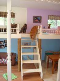Unicorn mann is also there, being super cool. 40 Best Cat Daycare And Hotel Ideas Cat Daycare Hotel Pet Resort