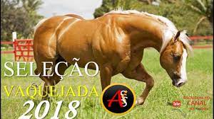 Sua música é a maior plataforma de entretenimento focada em música regional do brasil, onde artistas independentes disponibilizam grátis seus conteúdos aos fãs. Selecao Vaquejada 2018 100 Vaquejada Pra Paredao Musica Nova 2018 Youtube