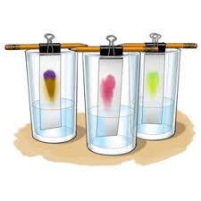 There's no single answer for this question. Chromatography Be A Color Detective Scientific American