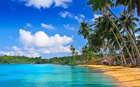 Here are only the best beach hd wallpapers. Tropical Hd Wallpapers Group 83