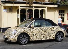 Leopard Beetle Pink Volkswagen Beetle Bug Car Beetle Car