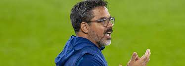 David wagner (born march 4, 1974) is an american wheelchair tennis player. Lfdvybxzpdjknm