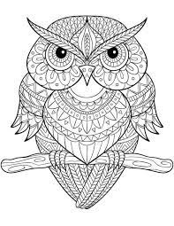 Download and use them in your website, document or presentation. Owl Mandala Coloring Page Owl Coloring Pages Mandala Coloring Pages Mandala Coloring