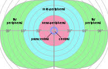 Peripheral Vision Wikipedia