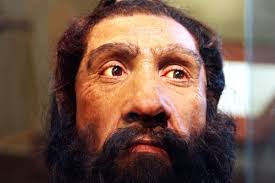 Neanderthals