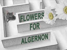 Maybe you would like to learn more about one of these? Flowers For Algernon