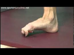 These tendons function to pull the foot upward and work with resistance from the achilles' tendon and the calf muscles (flexor muscle group) that pulls the foot. Pin On Workout Ideas