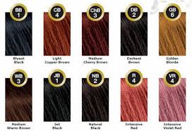Paul Mitchell Bigen Color Chart Bigen Hair Color Hair Color Chart Bigen Hair Dye