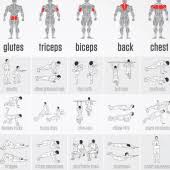 Moreover, the exercises will be classified into different body parts by the application, helping users to choose. Home Workout No Equipment Apk