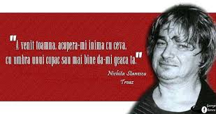 Şi a trăit risipind din fiinţa lui. Poezii Despre Femeie Nichita Stanescu Financiallasopa