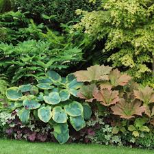 Maybe you would like to learn more about one of these? Great Foliage Border Plants Sunset Magazine
