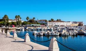 Image result for Faroa duvigneaud