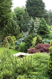 Various Conifers In Garden At Cypress House Dalton Evergreen Landscape Conifers Garden Cypress Gardens