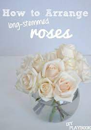 Check spelling or type a new query. Diy Playbook How To Arrange Long Stemmed Roses Floral Arrangements Diy Diy Arrangements Flower Arrangements Diy