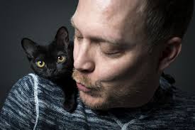 Saintly City Cat Show brings out the beauties