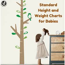 More than double her birth weight! Standard Height And Weight Chart For Babies Every Parent Should Know