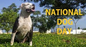 Now if you are looking for reasons to celebrate national dog day, you have more reasons to rejoice than usual. National Dog Day 2021 August 26 Happy National Dog Day 2021 Wishes Messages Quotes Smartphone Model