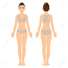 Female Body Chart Front And Back View Young Woman In Underwear