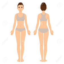 female body chart front and back view young woman in underwear