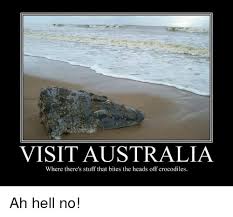 Image Result For Australia Memes Australia Funny Aussie Memes Funny Australian