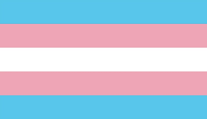 Download the perfect transgender flag pictures. Transgender Awareness Week Shepherd Express