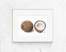 Coconut Art Print Coconut Realistic Art Wall Decor Kitchen Etsy Fruit Wall Art Realistic Art Art