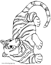 Free printable baby tiger coloring pages. Coloring Page Tiger Animal Coloring Pages 12 Coloring Library
