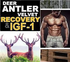 100% Pure DEE R ANTLE R VELVET for BODYBUILDING POWER STRENGTH India - 30  Qty/Caps : Amazon.in: Beauty