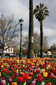 Bendigo Truly Shines In Spring Bendigo Victoria Australia Australia Travel