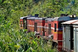 The Train Fianarantsoa East Coast Fce Madagascar Madagascar Grandes Villes Capitale