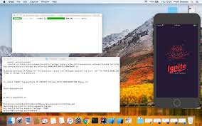 Stuck On Splash Screen When Running React Native Run Ios Issue 54 Infinitered Ignite Bowser Github
