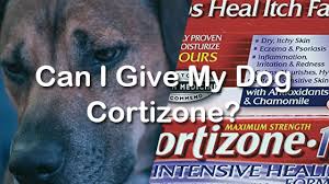 Can I Give My Dog Cortizone Pet Consider