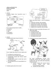 Gambar daur fosfor peran kelinci. Latihan Kelas X