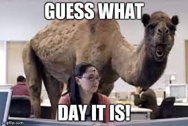 Geico living commercials (quiz) how well do you know your geico commercials? Pin On Catholic Humor