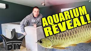 He has an estimated net worth of $600,000. Support The King Of Diy Completely Off Topic Discussions Praquatics Com Aquarium Forums By Hobbyists For Hobbyists