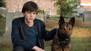 Max Review Marine Dog And His Boy Variety