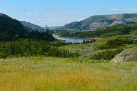 Sasquatch Park | Bc Parks