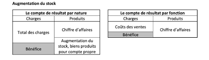 On cherche les points critiques, puis on étudie la nature de ces. Le Compte De Resultat Par Nature Explique Simplement Ionos