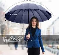 Large Umbrella with Wood Handle Walking Stick 54" Royal Walk